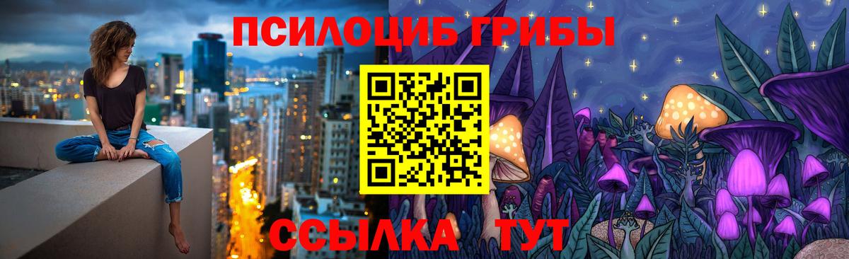 Галлюциногенные грибы Magic Shrooms Будённовск